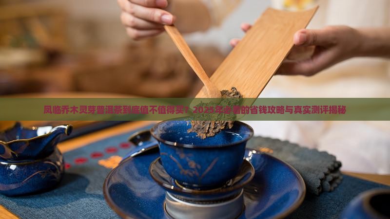 凤临乔木灵芽普洱茶价格