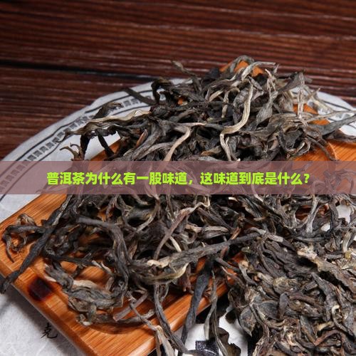 普洱茶为什么有一股味道呢