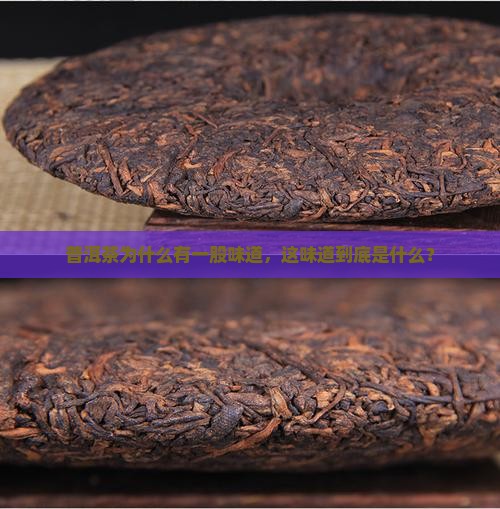 普洱茶为什么有一股味道呢