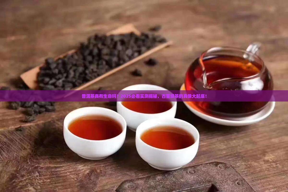 普洱茶有生命的古董