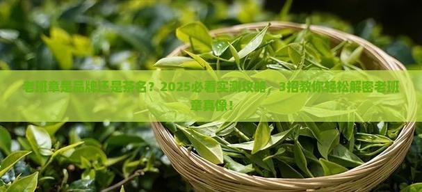 老班章是品牌吗什么叫老班章