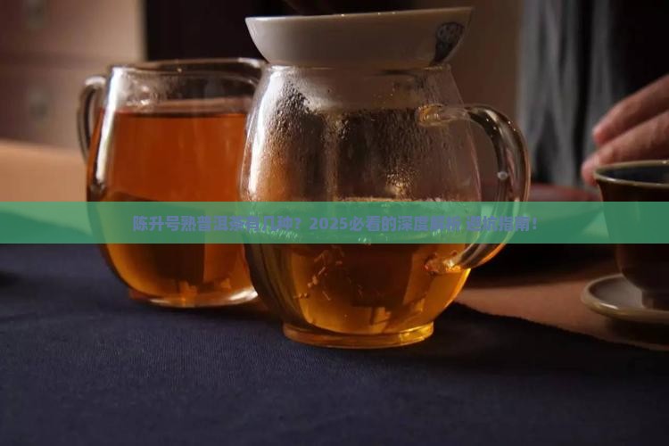 陈升号有几种熟普洱茶