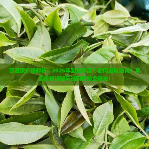 现在普洱茶的价格多高