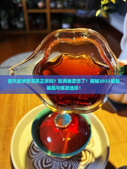 西双版纳普洱茶正宗吗