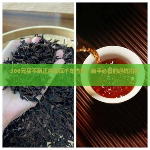 普洱千年古茶多少钱