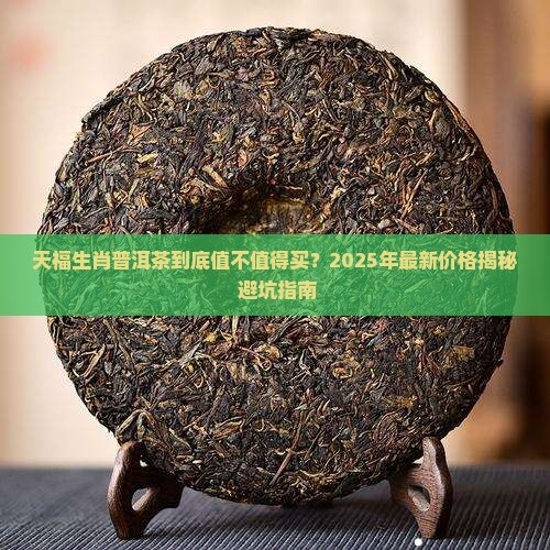 天福生肖普洱茶价格