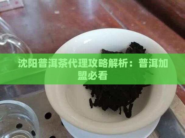 沈阳熟普洱茶如何代理
