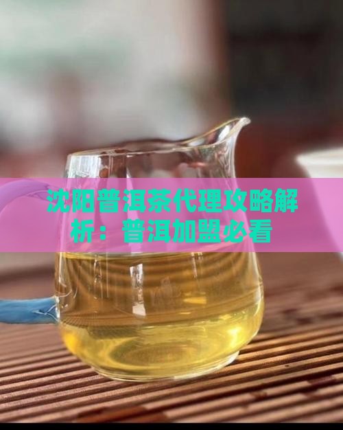 沈阳熟普洱茶如何代理