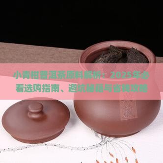 小青柑普洱茶原料