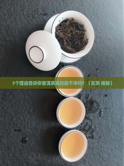 普洱茶是最干净的茶嘛