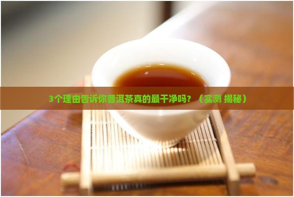 普洱茶是最干净的茶嘛