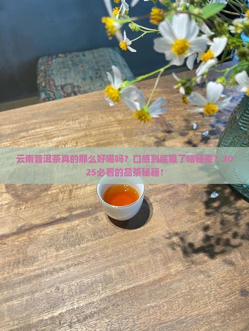 云南普洱茶口感