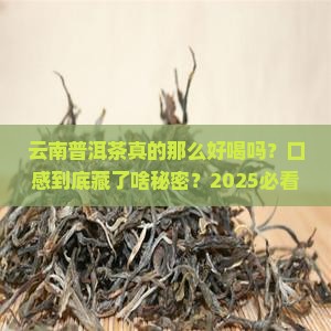 云南普洱茶口感