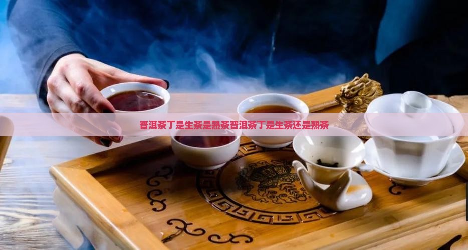 普洱茶丁是生茶是熟茶