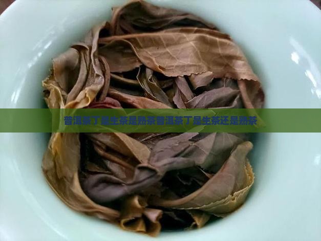 普洱茶丁是生茶是熟茶