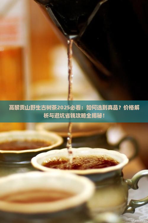 高黎贡山野生古树茶