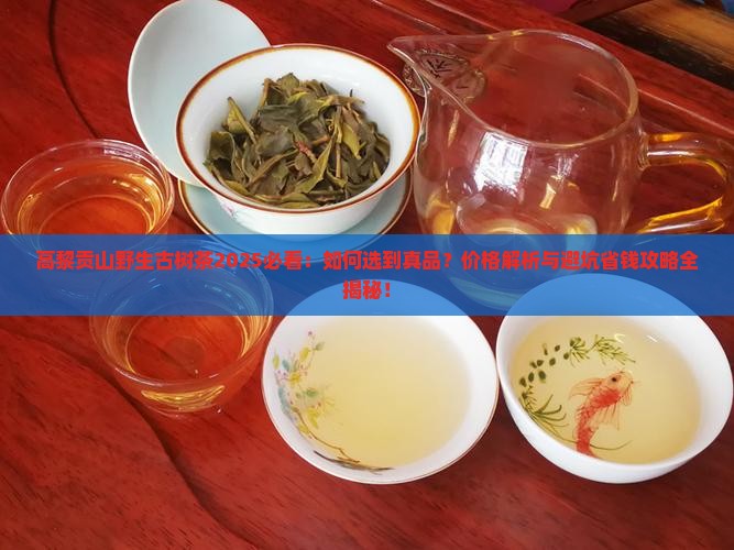 高黎贡山野生古树茶