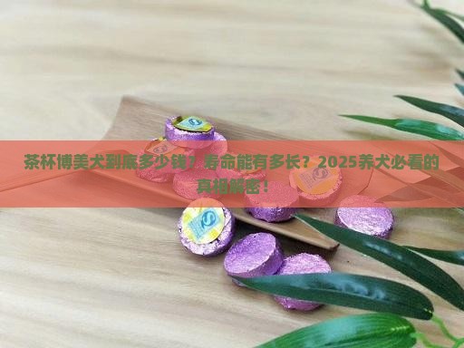 茶杯博美犬价格和寿命
