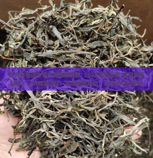 多大容量适合泡小青柑普洱茶