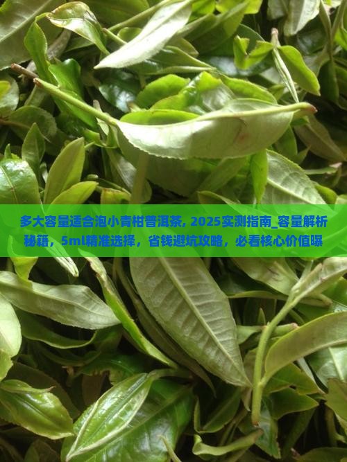 多大容量适合泡小青柑普洱茶