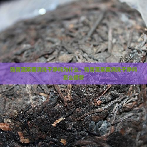 熟普洱茶要清洗干净吗