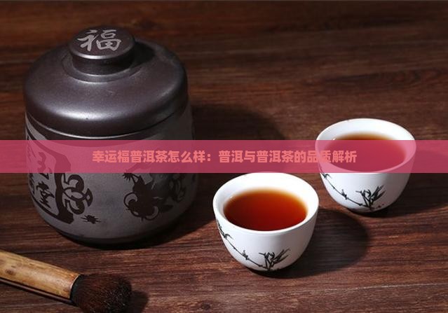 幸运福普洱茶怎么样