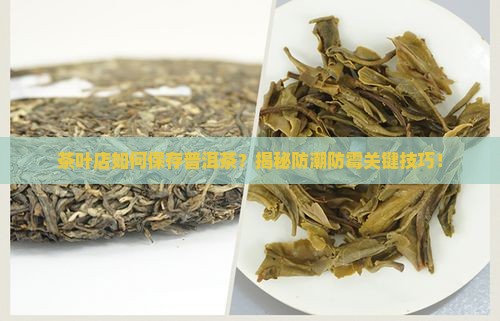茶叶店如何保存普洱茶