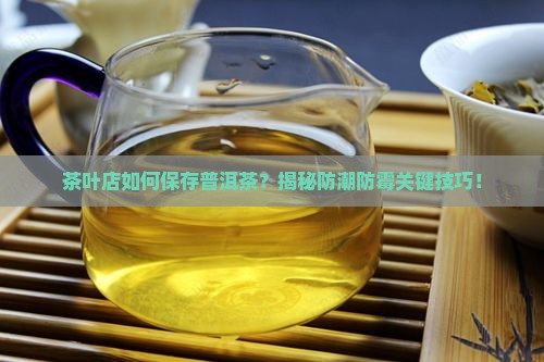 茶叶店如何保存普洱茶