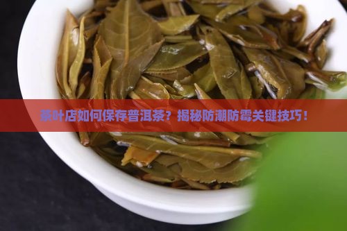 茶叶店如何保存普洱茶