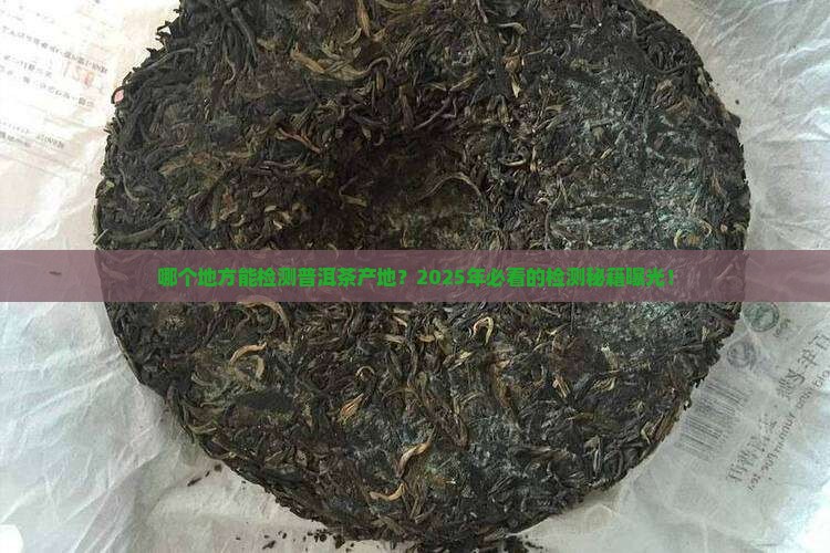 云南省检测普洱茶产地是哪里