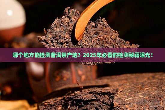 云南省检测普洱茶产地是哪里