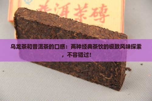 乌龙茶和普洱茶的口感