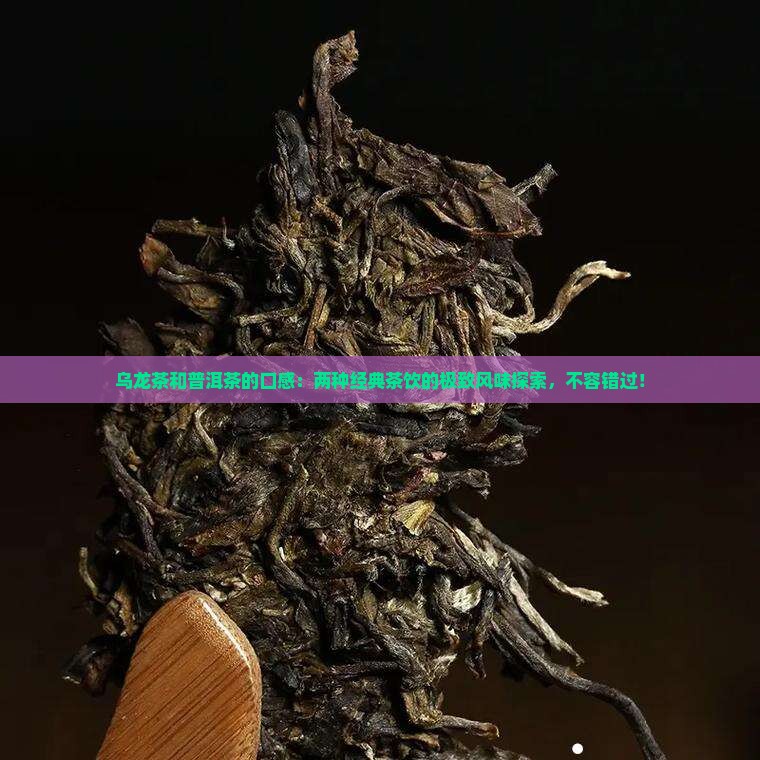乌龙茶和普洱茶的口感