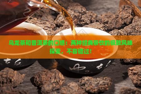 乌龙茶和普洱茶的口感