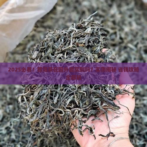 普洱茶在国外能买到吗