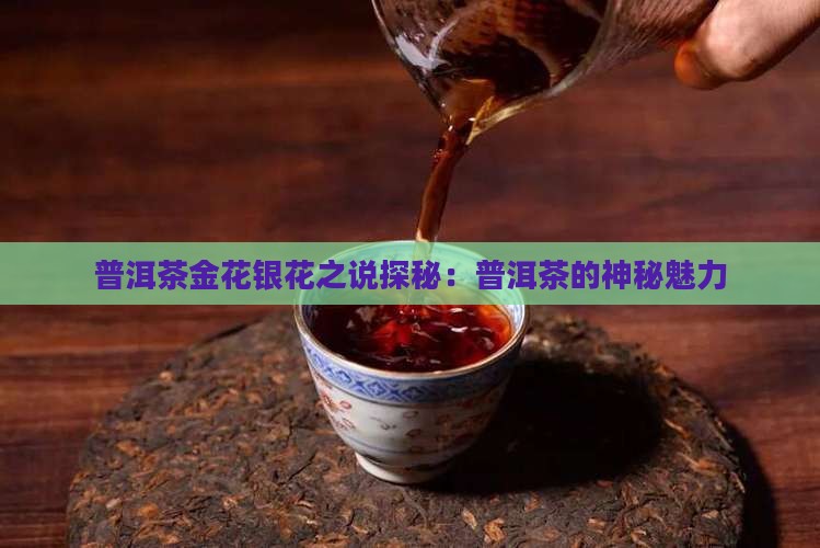 普洱茶有金花银花之说吗