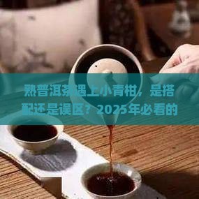 熟普洱茶遇上小青柑