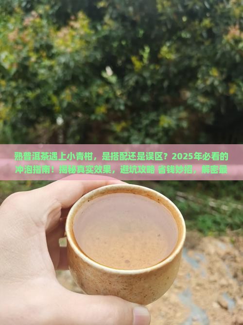 熟普洱茶遇上小青柑