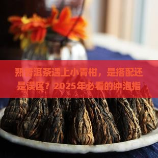 熟普洱茶遇上小青柑