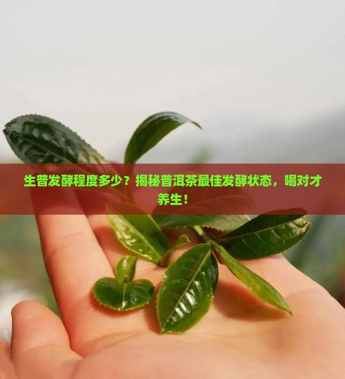 生普发酵程度多少