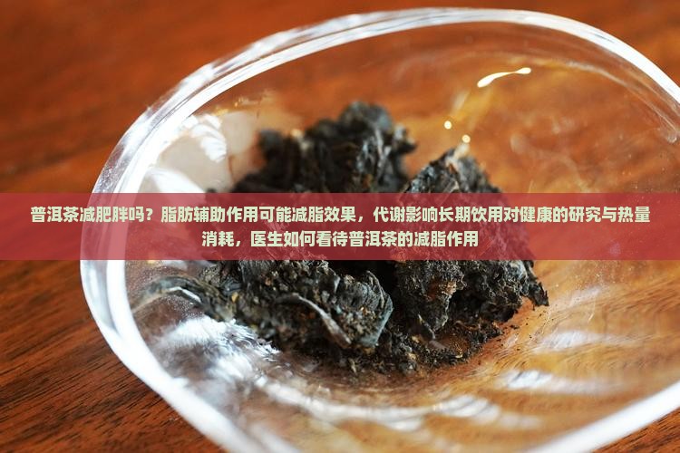 普洱茶能减肥胖吗