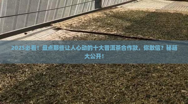 十大普洱茶合作款