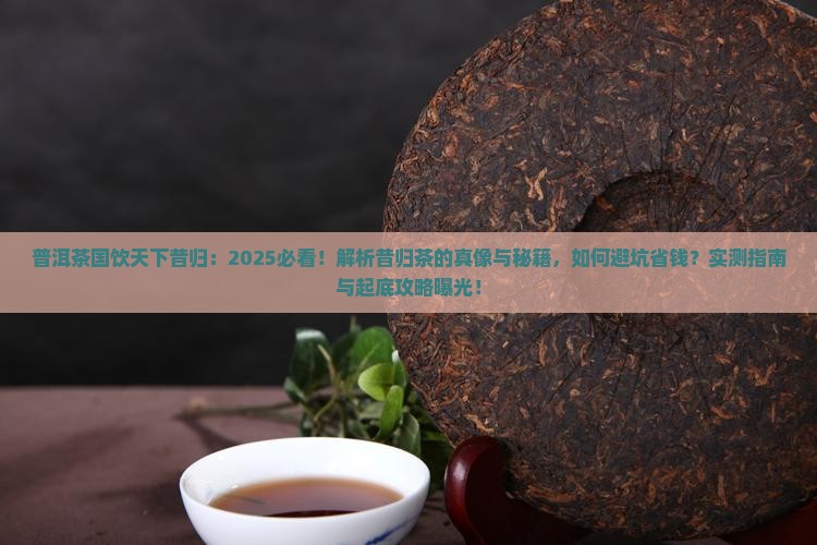 普洱茶国饮天下昔归