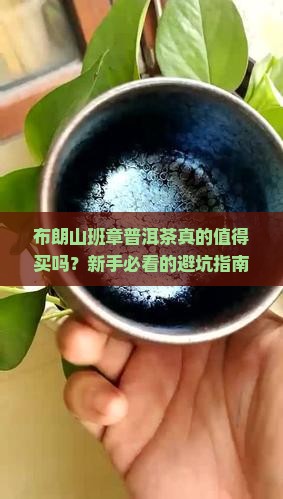 布朗山班章普洱茶特点