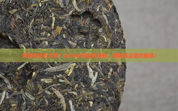 普洱茶化石太多了