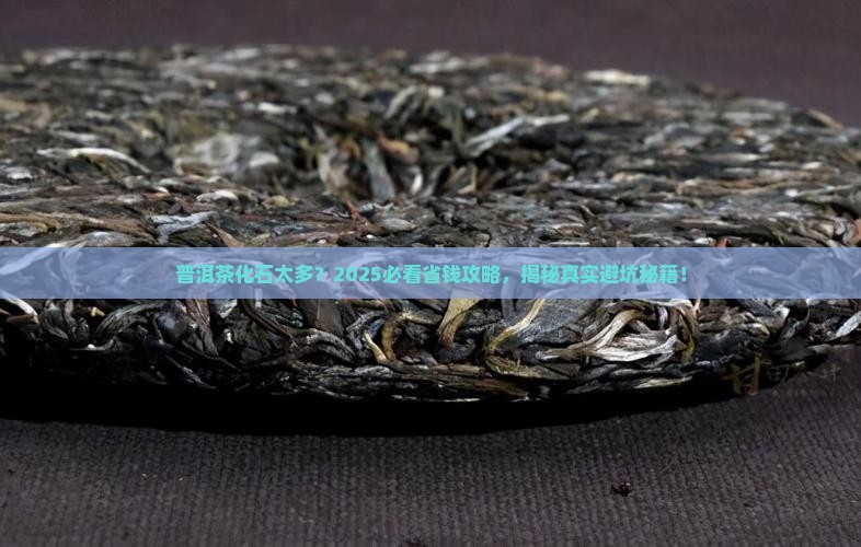 普洱茶化石太多了