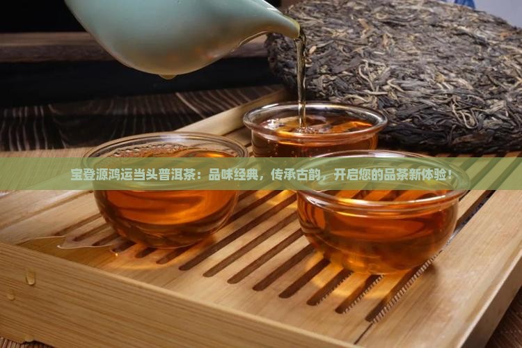 宝登源鸿运当头普洱茶