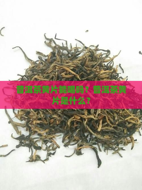 普洱茶黄茶能喝吗