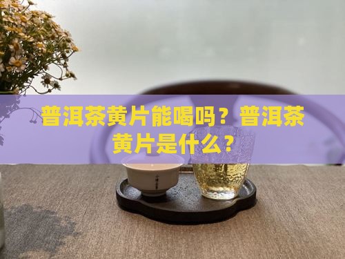 普洱茶黄茶能喝吗