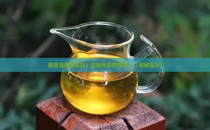 喝普洱茶的茶品